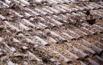 Downe roof cleaning companies